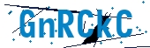 recaptcha