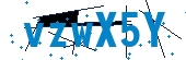 recaptcha