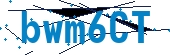 recaptcha